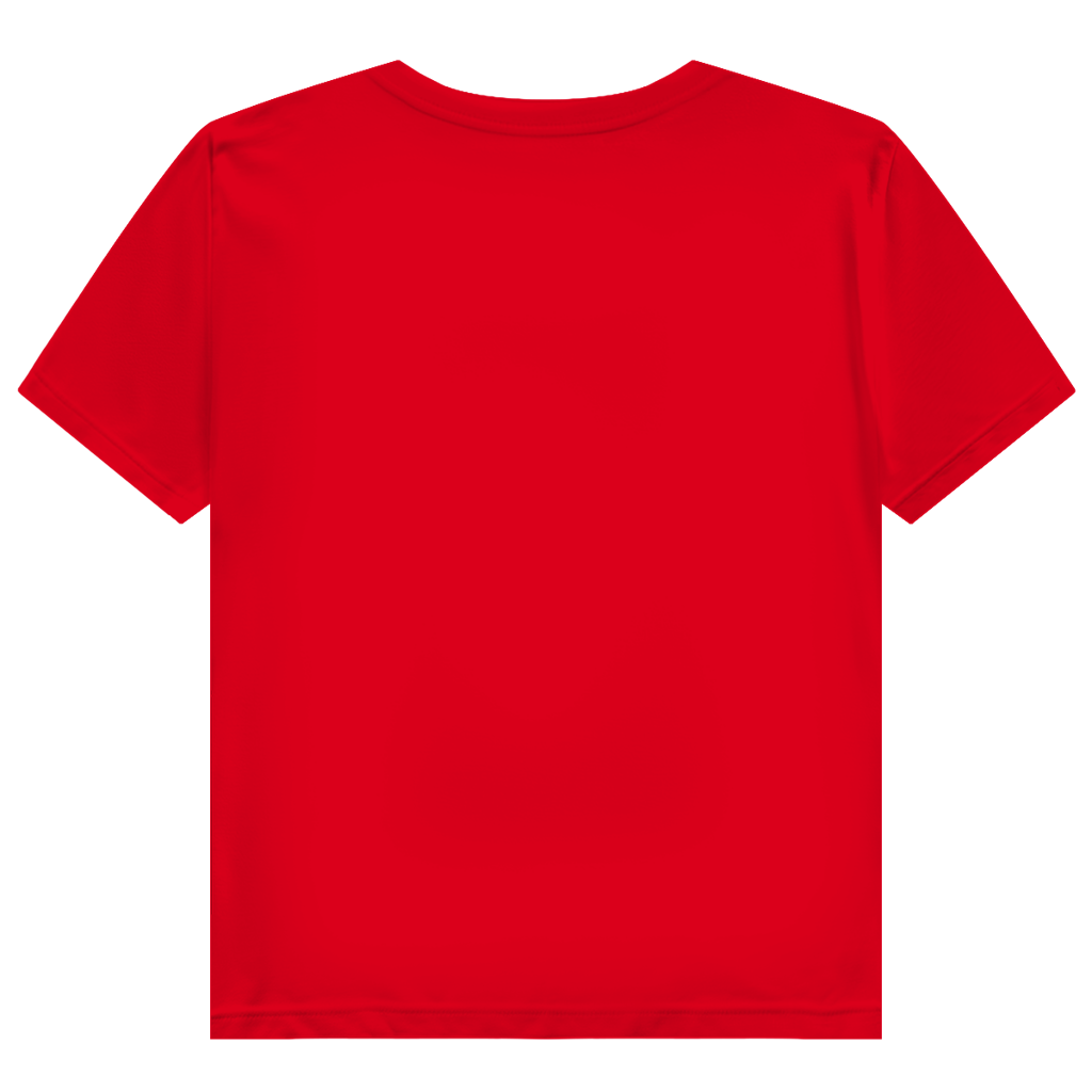 PORNÖS – Damen Premium Bio T-Shirt – Frontdruck
