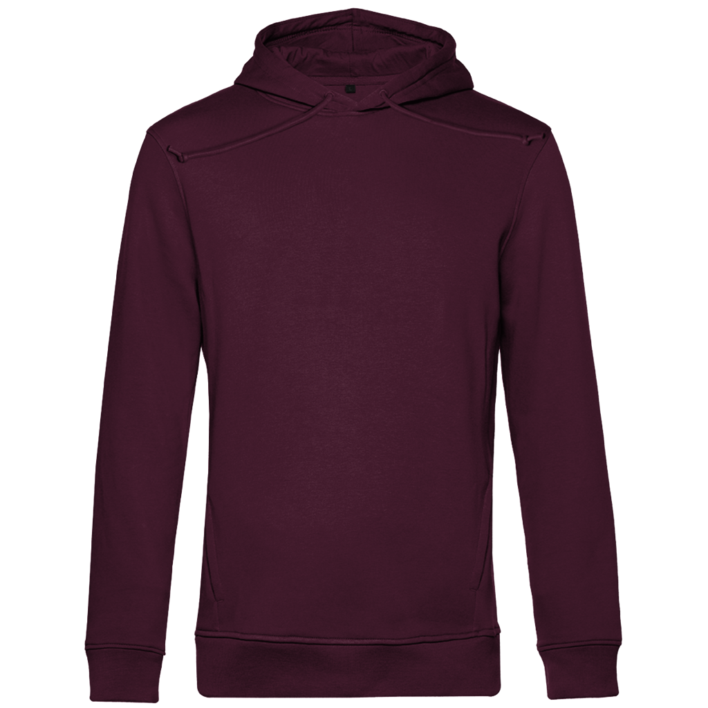 JUSTICIA – Herren Premium Bio Hoodie – Backdruck