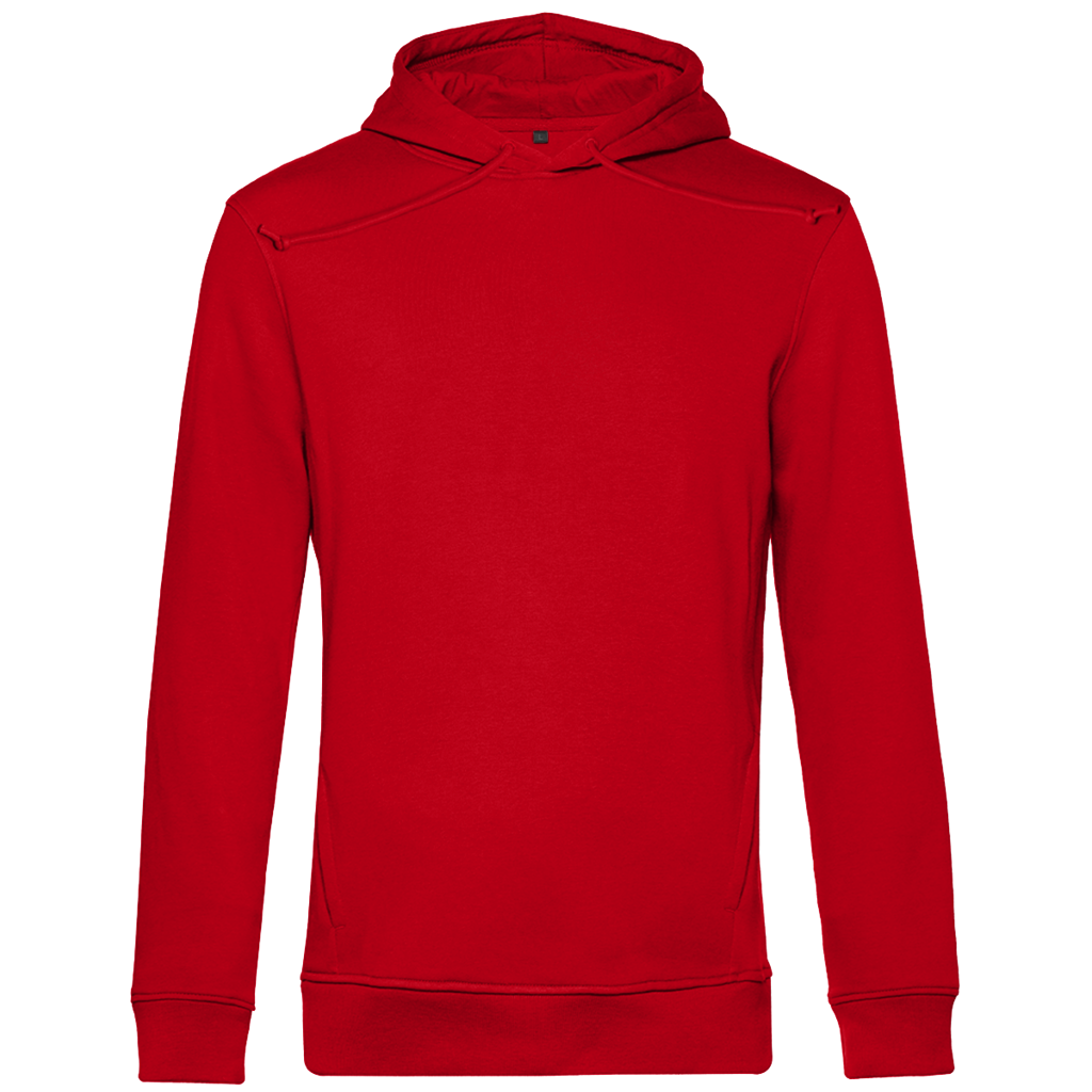 JUSTICIA – Herren Premium Bio Hoodie – Backdruck