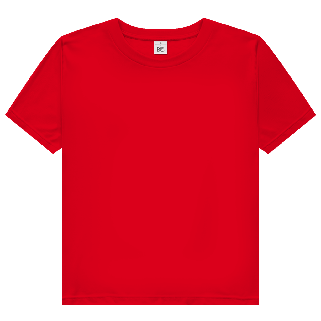 PORNÖS – Damen Premium Bio T-Shirt – Backdruck