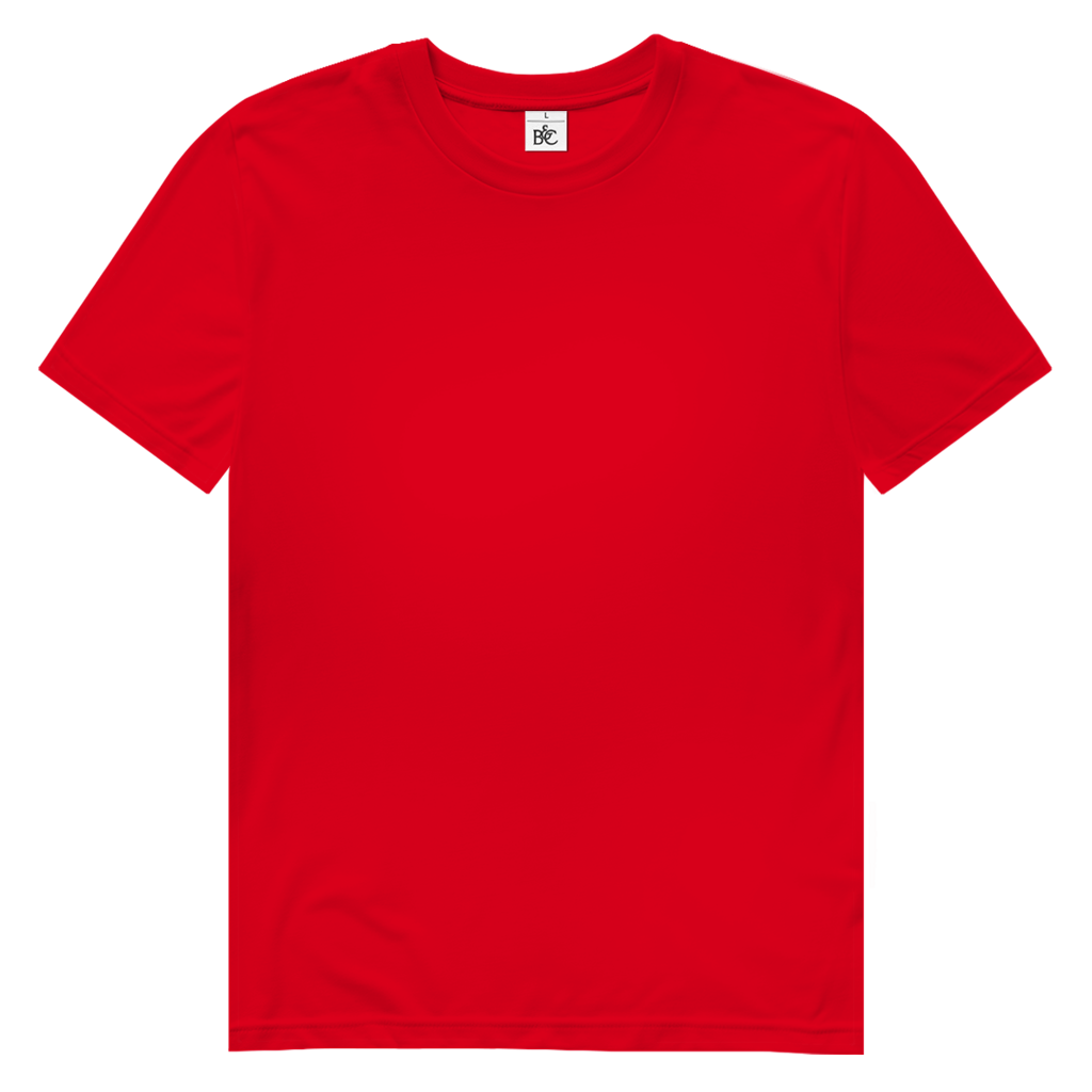 JUSTICIA – Herren Premium Bio T-Shirt – Backdruck