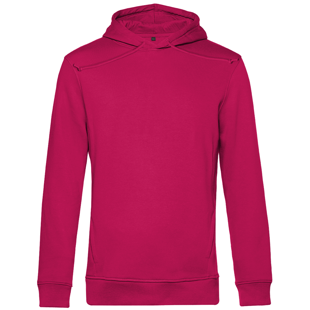 JUSTICIA – Herren Premium Bio Hoodie – Backdruck